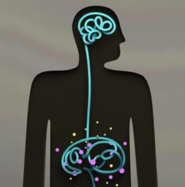 NUTRITION AND THE BRAIN, How to feed our kids for optimal results